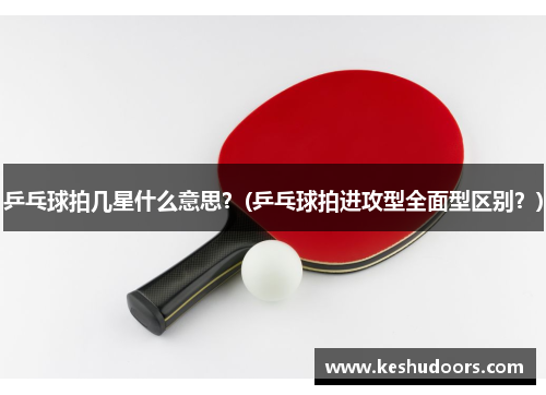 乒乓球拍几星什么意思？(乒乓球拍进攻型全面型区别？)